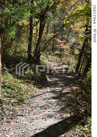 秩父散歩:山道 和銅山山麓 秩父散歩:山道 和銅山山麓 84621992