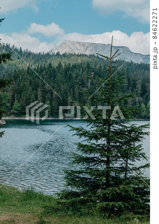 The lake is high in the mountains, spruces and pines grow on the slopes of the mountains, houses are visible on the hills in the distance, mountains and trees are reflected in the water, summer, sunny The lake is high in the mountains, spruces and pines grow on the slopes of the mountains, houses are visible on the hills in the distance, mountains and trees are reflected in the water, summer, sunny 84622271