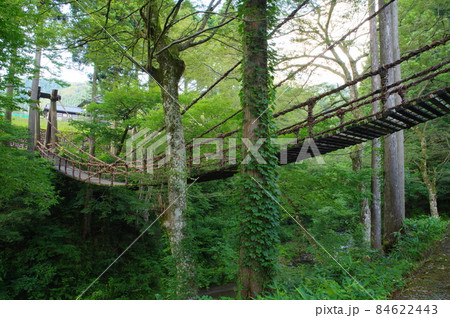 かずら橋 福井県今立郡池田町 かずら橋 福井県今立郡池田町 84622443