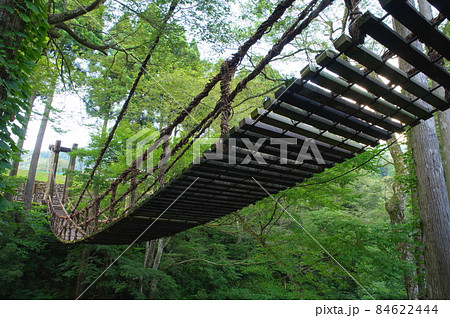 かずら橋 福井県今立郡池田町 かずら橋 福井県今立郡池田町 84622444
