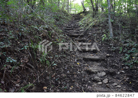 宮城県仙台市の天然記念物青葉山にある青葉の森緑地です 宮城県仙台市の天然記念物青葉山にある青葉の森緑地です 84622847