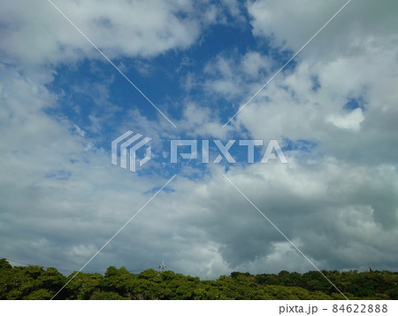 マングローブと沖縄の空 84622888