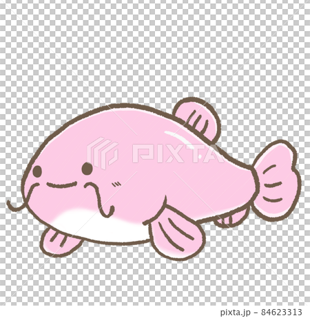 R: More fairy tale aquarium ☆ Catfish ③ 84623313