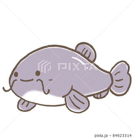 R:もっとメルヘンな水族館☆ナマズ① 84623314