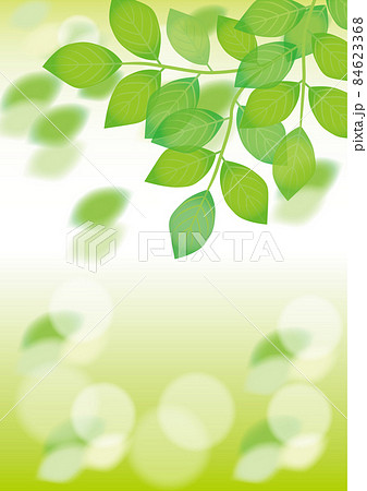 葉っぱと煌めく背景 84623368