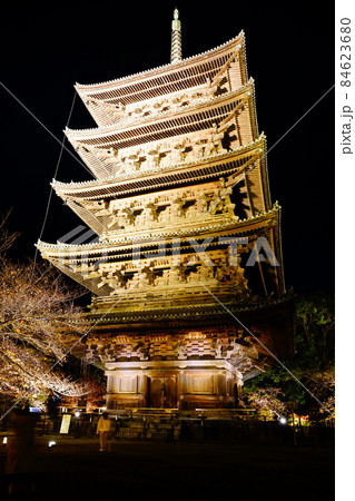 東寺 紅葉ライトアップ 世界遺産 五重塔 東寺 紅葉ライトアップ 世界遺産 五重塔 84623680