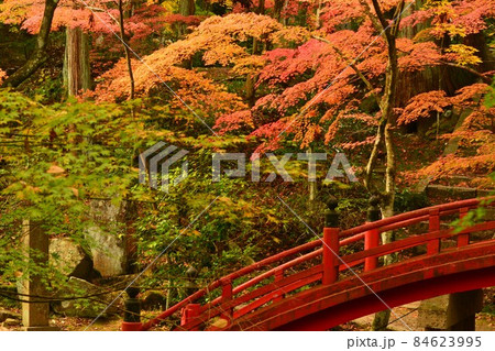 広島県世羅郡今高野山の紅葉 広島県世羅郡今高野山の紅葉 84623995