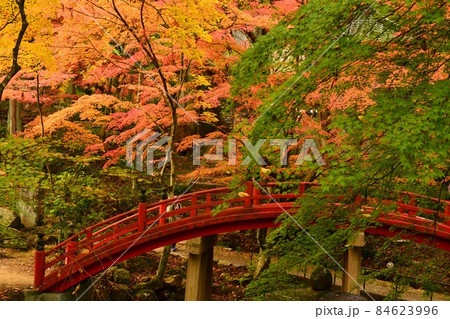 広島県世羅郡今高野山の紅葉 広島県世羅郡今高野山の紅葉 84623996