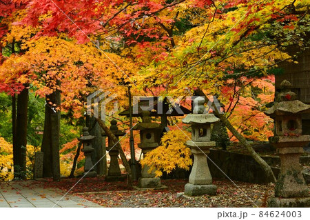 広島県世羅郡今高野山の紅葉 広島県世羅郡今高野山の紅葉 84624003