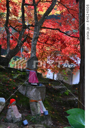 広島県世羅郡今高野山の紅葉 広島県世羅郡今高野山の紅葉 84624008