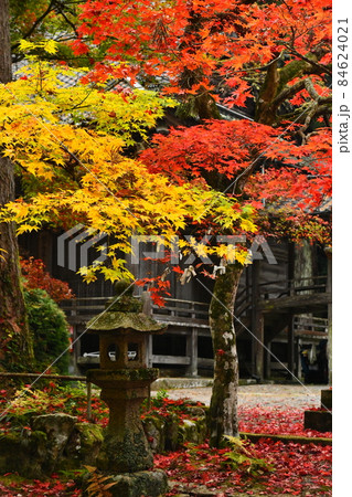 広島県世羅郡今高野山の紅葉 広島県世羅郡今高野山の紅葉 84624021