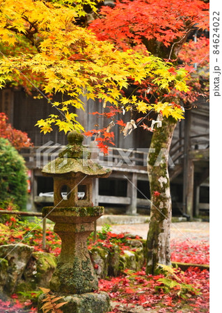 広島県世羅郡今高野山の紅葉 広島県世羅郡今高野山の紅葉 84624022
