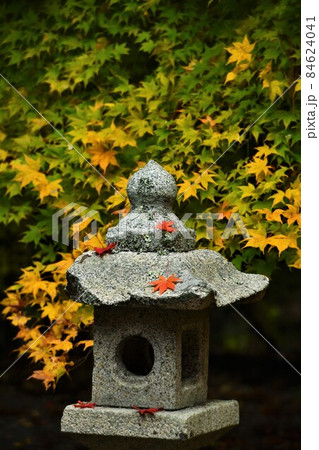広島県安芸高田市の高林坊の紅葉 広島県安芸高田市の高林坊の紅葉 84624041
