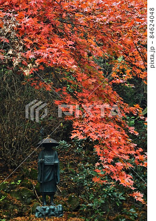 広島県世羅郡今高野山の紅葉 広島県世羅郡今高野山の紅葉 84624048