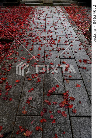 広島県世羅郡今高野山の紅葉 84624052