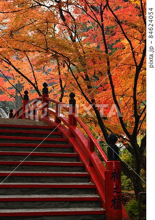 広島県世羅郡今高野山の紅葉 広島県世羅郡今高野山の紅葉 84624054