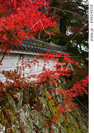 広島県世羅郡今高野山の紅葉 広島県世羅郡今高野山の紅葉 84624059