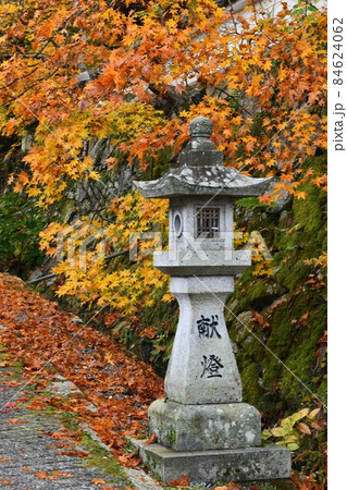 広島県世羅郡今高野山の紅葉 84624062