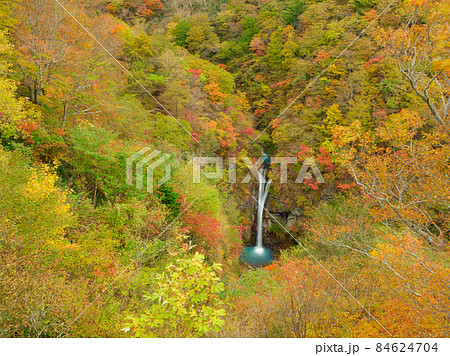 栃木_那須高原・駒止の滝の紅葉絶景 84624704