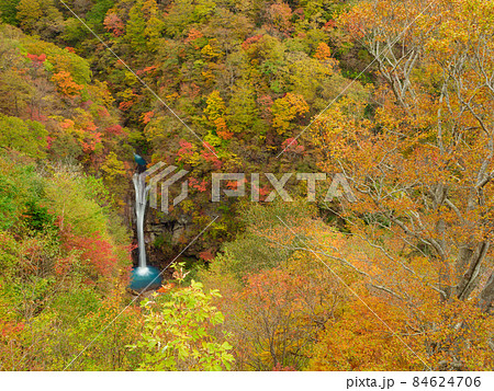 栃木_那須高原・駒止の滝の紅葉絶景 84624706
