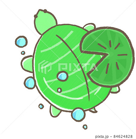 R:もっとメルヘンな水族館☆スッポン　上から④ 84624828