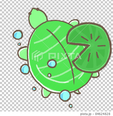 R:もっとメルヘンな水族館☆スッポン　上から④ 84624828