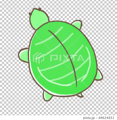 R：更童話的水族箱☆從上到下的甲魚② 84624831