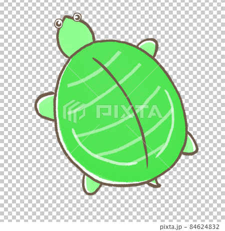 R:更多童話水族箱☆從上到下的甲魚③ R:更多童話水族箱☆從上到下的甲魚③ 84624832