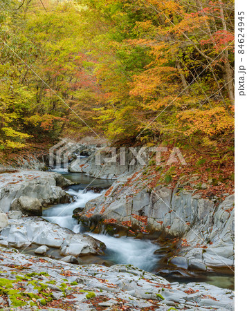 福島_中津川渓谷の紅葉絶景 福島_中津川渓谷の紅葉絶景 84624945