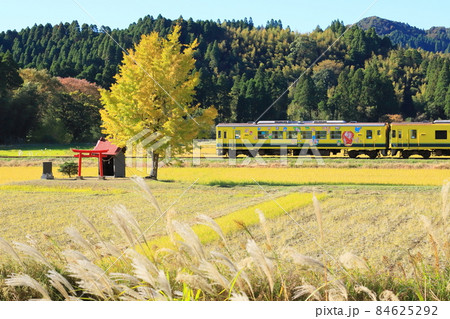 いすみ鉄道「イチョウの木と祠のある田園風景」 84625292