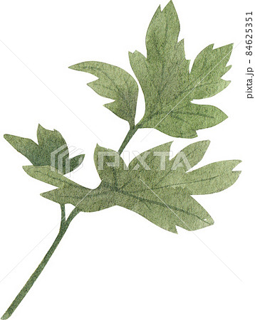 Hong Kong food and ingredients watercolor clipart png 84625351