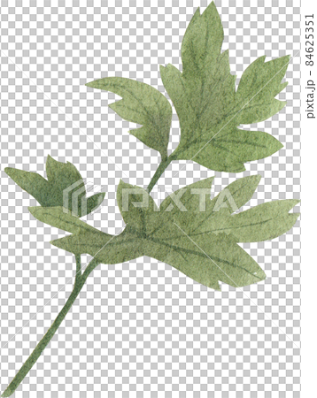 Hong Kong food and ingredients watercolor clipart png 84625351