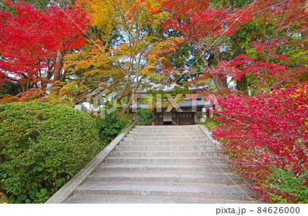 紅葉名所山口県下関市長府にある黄檗宗寺院覚苑寺 紅葉名所山口県下関市長府にある黄檗宗寺院覚苑寺 84626000