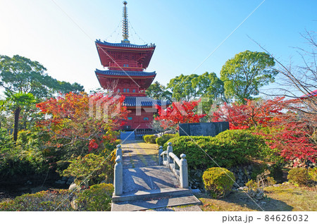 福岡県みやこ町にある豊前国分寺朱塗りの三重塔と紅葉 84626032