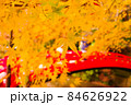 橋と紅葉 84626922