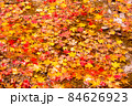 水面の紅葉 84626923