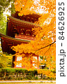 塔と紅葉 84626925