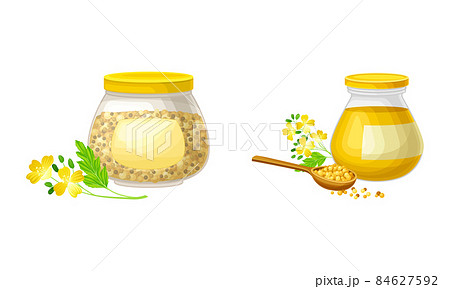 Mustard seeds and oil in glass jars set. Natural organic healthy product vector illustration 84627592