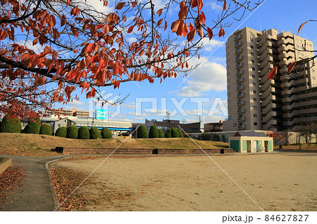 初本町公園（都市計画道路　寝屋川駅前線）【大阪府寝屋川市】 84627827