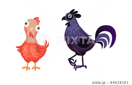 Funny hen and rooster, farm poultry breeding cartoon vector illustration Funny hen and rooster, farm poultry breeding cartoon vector illustration 84628161