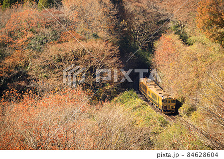晩秋の水分峠を越える「或る列車」(JR九州) 晩秋の水分峠を越える「或る列車」(JR九州) 84628604