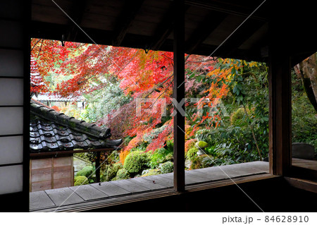和室から見た紅葉 84628910
