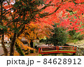 紅葉と赤い橋 84628912