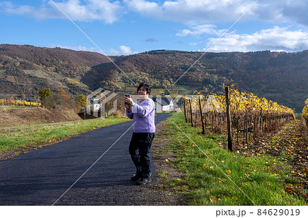 A woman on a road going through a wine district n the Mosel valley. Beautiful yellow vine leaves and green grass A woman on a road going through a wine district n the Mosel valley. Beautiful yellow vine leaves and green grass 84629019