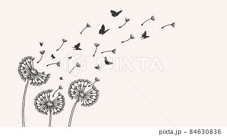 Dandelion. Sketch dandelions, flying seeds and butterflies silhouettes. Floral garden, wild flowers background. Freedom metaphor, vector illustration Dandelion. Sketch dandelions, flying seeds and butterflies silhouettes. Floral garden, wild flowers background. Freedom metaphor, vector illustration 84630836