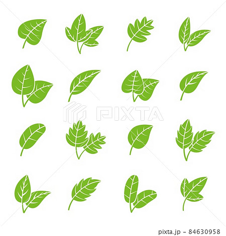 Green Eco Leaves Pharmacy Leaf Logo Fresh のイラスト素材