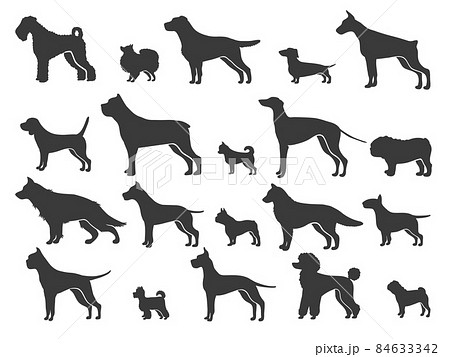 Pointer dog silhouette. Black dogs sizes and breeds, animals silhouettes, canine companion, small puppy size, retriever labrador shepherd dachshund pug, set isolated vector icon Pointer dog silhouette. Black dogs sizes and breeds, animals silhouettes, canine companion, small puppy size, retriever labrador shepherd dachshund pug, set isolated vector icon 84633342