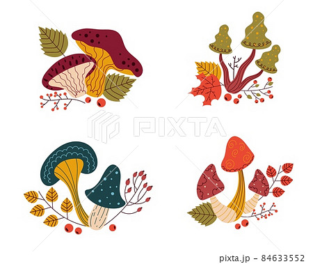 Mushrooms compositions. Cartoon funguses with twigs, berries and leaves. Organic diet vegetable products. Autumn harvest. Poisonous or edible plants. Vector wild botanical elements set 84633552