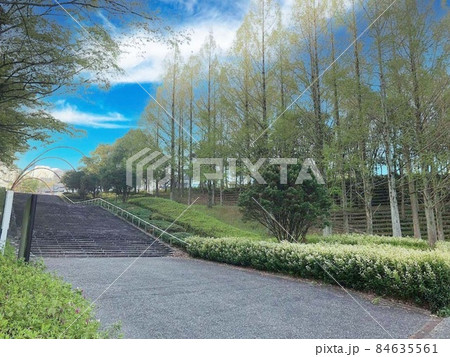 公園の階段風景 84635561