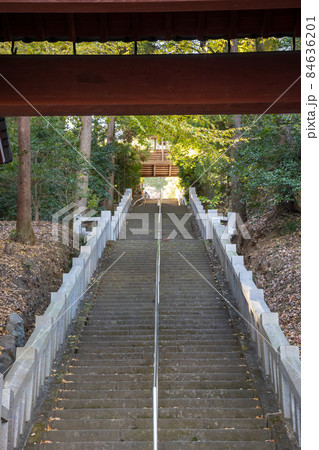 少林山達磨寺 総門から見た参道の石段 高崎市 少林山達磨寺 総門から見た参道の石段 高崎市 84636201